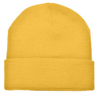 Dark Yellow (PMS 142c) / Dark Yellow